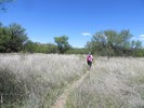 photo thumbnail #15
