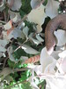 photo thumbnail #13