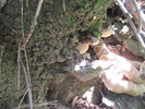 photo thumbnail #14
