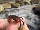 photo thumbnail #5