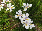 photo thumbnail #8