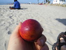 photo thumbnail #11