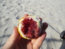 photo thumbnail #12