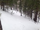 photo thumbnail #1