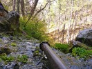 2015-04-24 :1: Pivot Rock Canyon :: kingsnake