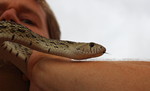photo thumbnail #2