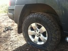 photo thumbnail #1