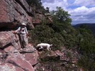 photo thumbnail #3