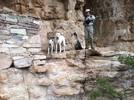photo thumbnail #6