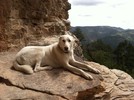 photo thumbnail #11