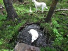 photo thumbnail #12