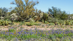 photo thumbnail #5