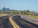 photo thumbnail #8