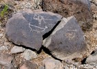 photo thumbnail #5