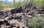 photo thumbnail #6