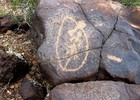 photo thumbnail #11