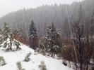 photo thumbnail #4