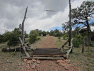 photo thumbnail #7