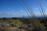 photo thumbnail #2