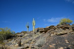 photo thumbnail #3