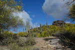 photo thumbnail #4