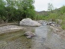 photo thumbnail #13