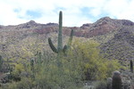 photo thumbnail #2