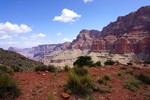 photo thumbnail #7
