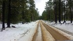 photo thumbnail #2