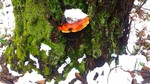 photo thumbnail #8