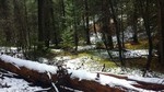 photo thumbnail #9