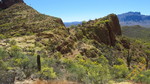 photo thumbnail #11