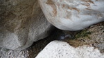 photo thumbnail #14