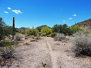 photo thumbnail #4