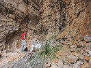 photo thumbnail #5
