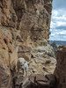 photo thumbnail #11
