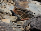 photo thumbnail #3