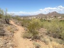 photo thumbnail #2