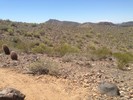 2015-04-28 :1: Pointe Tapatio Golf Course Loop #1 :: kingsnake