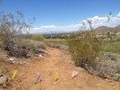 photo thumbnail #4