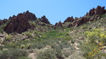 photo thumbnail #14