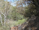 photo thumbnail #3