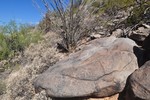 photo thumbnail #1