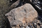 photo thumbnail #3