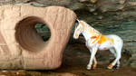 photo thumbnail #13
