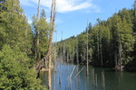photo thumbnail #4