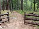 photo thumbnail #1