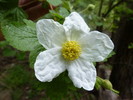 photo thumbnail #7