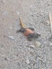 photo thumbnail #1