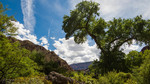 photo thumbnail #10
